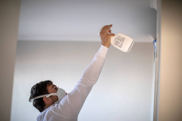 Best Mold Remediation  in Bethalto, IL