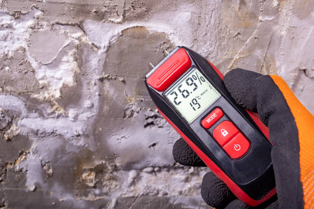Best Fast Mold Removal  in Bethalto, IL