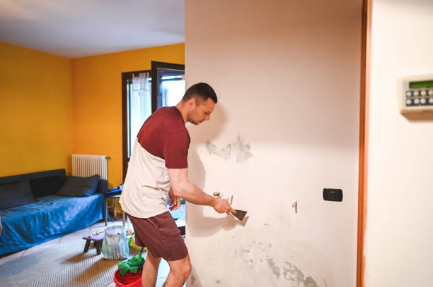 Best Crawl Space Mold Removal  in Bethalto, IL